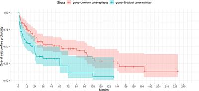 Late-Onset Focal Epilepsy: Electroclinical Features and Prognostic Role of Leukoaraiosis